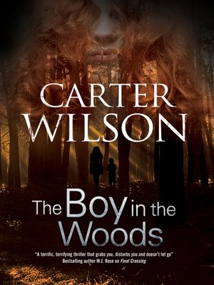 cover image of The Boy in the Woods